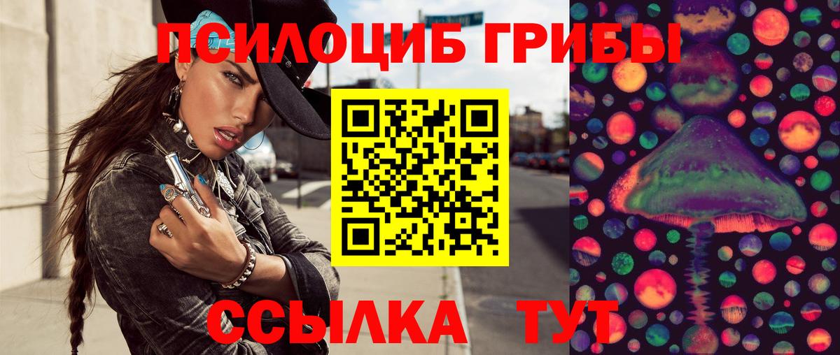 Избербаш  Псилоцибиновые грибы GOLDEN TEACHER  Вход с VPN 